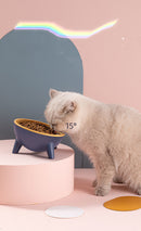 Elevated Pet Feeding Bowl – Cat & Dog Bowl with Stand