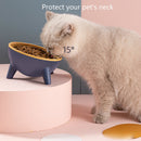 Elevated Pet Feeding Bowl – Cat & Dog Bowl with Stand