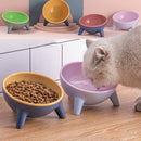 Elevated Pet Feeding Bowl – Cat & Dog Bowl with Stand