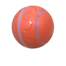 Pet Wicked Ball Toy – Interactive Self-Rolling Ball for Dogs & Cats