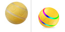 Pet Wicked Ball Toy – Interactive Self-Rolling Ball for Dogs & Cats