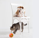 Pet Wicked Ball Toy – Interactive Self-Rolling Ball for Dogs & Cats