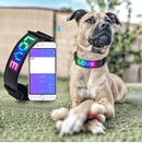 LED Bluetooth Dog Collar – App-Controlled Light Up Display