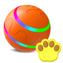 Pet Wicked Ball Toy – Interactive Self-Rolling Ball for Dogs & Cats