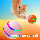 Pet Wicked Ball Toy – Interactive Self-Rolling Ball for Dogs & Cats